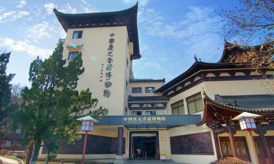 “地理标志立法研究”学术研讨会暨中国知识产权研究会地理标志专业委员会委员大会在南宁召开